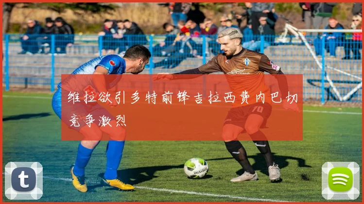 维拉欲引多特前锋吉拉西费内巴切竞争激烈